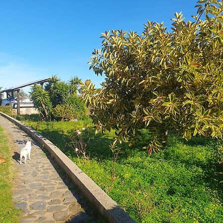 Asinara Villa Sassari Exterior photo